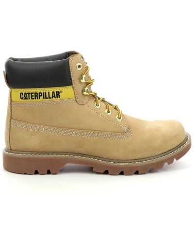 Caterpillar Shoes > boots > lace-up boots - Neutre