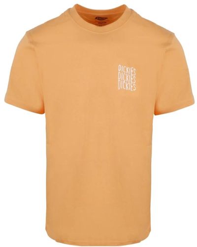 Dickies Creswell phygital hub t-shirt - Arancione
