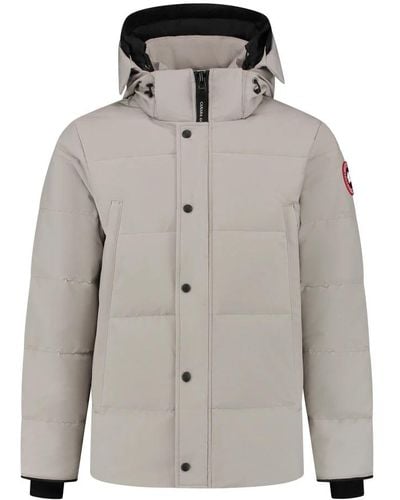 Canada Goose Winter Jackets - Grey