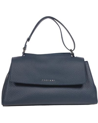 Orciani Handbags - Blue