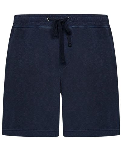 James Perse Casual Shorts - Blue