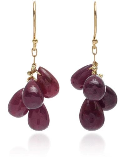 Ten Thousand Things 18k Yellow Gold Ruby Cluster Earrings - Red