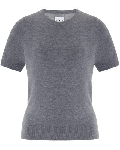 AEXAE Knit Cashmere Top - Gray