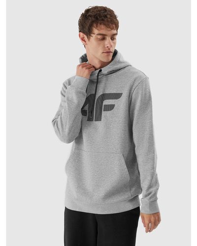 4F Sweatshirt Aw23Tswsm694 Regular Fit - Grau