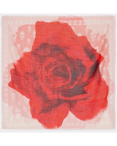 Alexander McQueen Rose Printed Frayed-edge Scarf - Red
