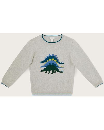 Designer dinosaur cheap sweater