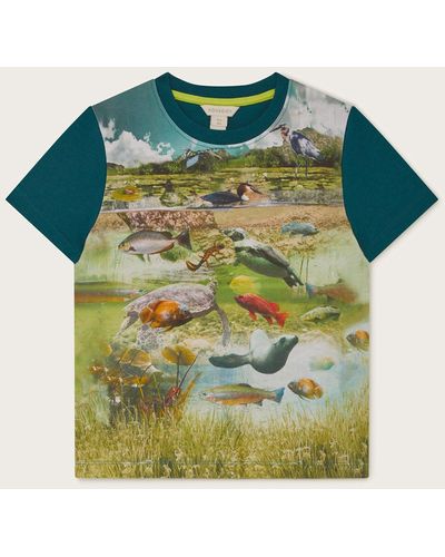Monsoon Pond Life T-shirt Multi - Green