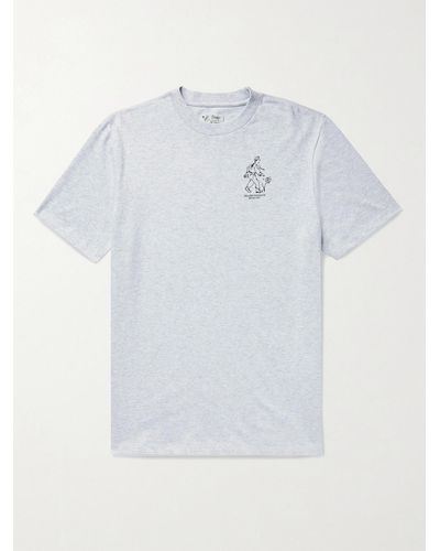 Aimé Leon Dore Drake's Logo-print Mélange Cotton-jersey T-shirt - Grey