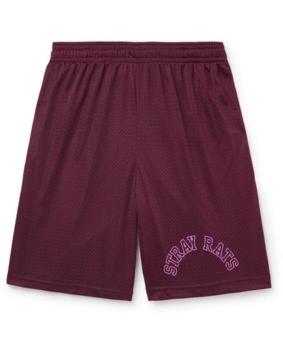 Stray Rats Arch Straight-leg Logo-print Mesh Shorts - Purple