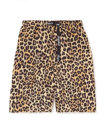 Kapital Wide-leg Belted Leopard-print Cotton-gabardine Shorts - Natural