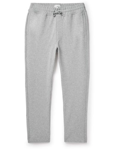 MR P. Tapered Cotton-jersey Sweatpants - Gray