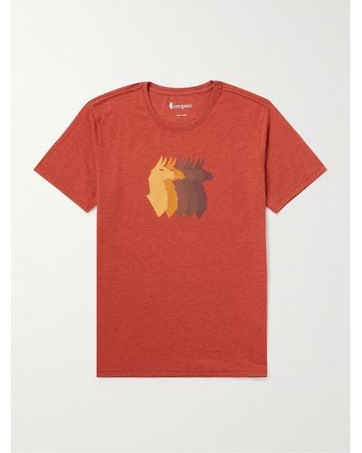 COTOPAXI T-shirt in jersey di misto cotone biologico con stampa Llama Sequence - Rosso