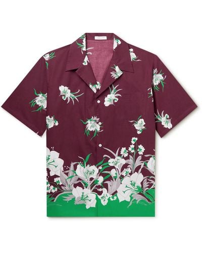 Valentino Garavani Camp-collar Floral-print Cotton-poplin Shirt - Multicolor