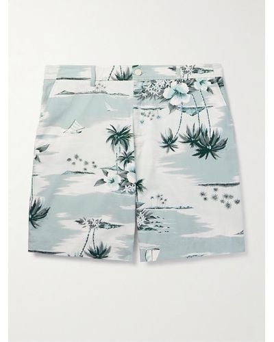 Maison Kitsuné Straight-leg Long-length Printed Cotton-ripstop Swim Shorts - Blue