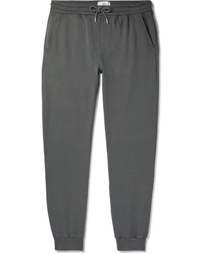 MR P. Tapered Cotton-jersey Sweatpants - Gray