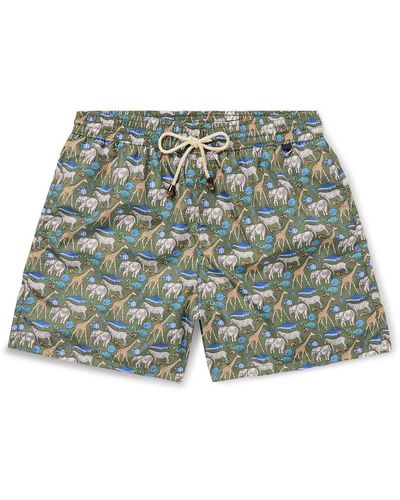 Rubinacci Straight-leg Mid-length Printed Shell Swim Shorts - Green
