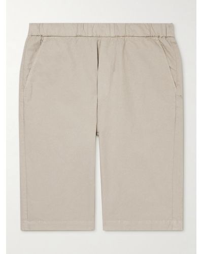 Barena Agro Maestra Straight-leg Stretch Cotton And Linen-blend Shorts - Multicolour