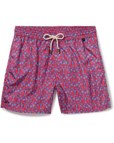 Rubinacci Straight-leg Mid-length Printed Shell Swim Shorts - Purple
