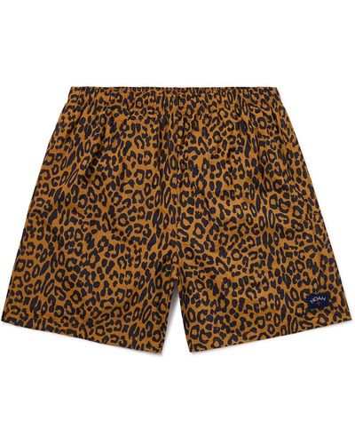 Noah Straight-leg Mid-length Leopard-print Swim Shorts - Brown