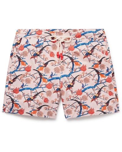 Orlebar Brown Standard Straight-leg Mid-length Printed Swim Shorts - Red