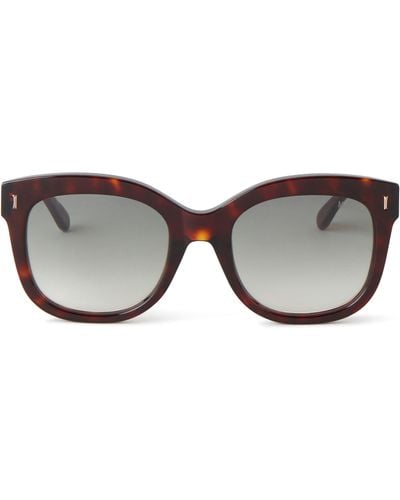 Mulberry Charlotte Sunglasses - Brown