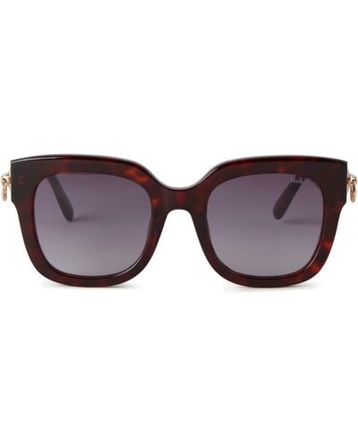 Mulberry Iris Sunglasses - Brown