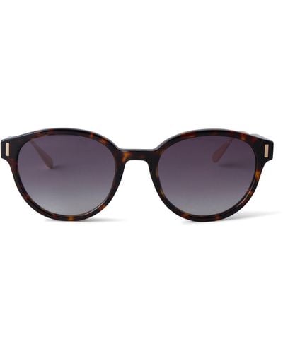 Mulberry Taylor Sunglasses - Brown