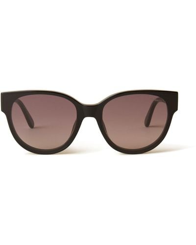 Mulberry Etta Sunglasses In Black Acetate - Brown