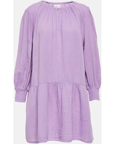 Velvet Viviana Cotton Mini Dress - Purple