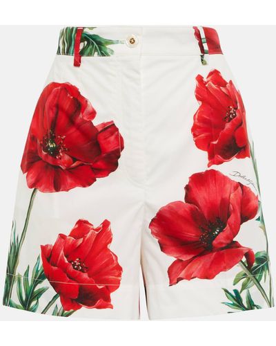 Dolce & Gabbana Floral-printed Cotton Shorts - Red