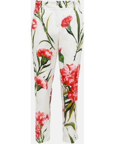 Dolce & Gabbana Floral Cotton-blend Straight Pants - Red