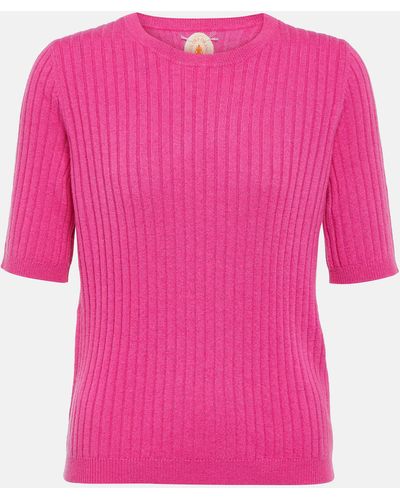 Jardin Des Orangers Ribbed-knit Cashmere Top - Pink