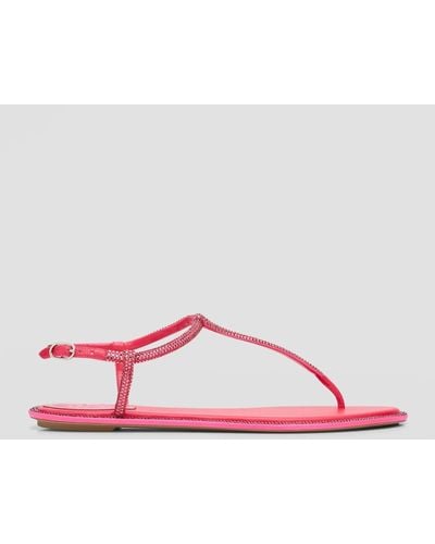 Rene Caovilla Diana Crystal T-Strap Flat Sandals - Pink
