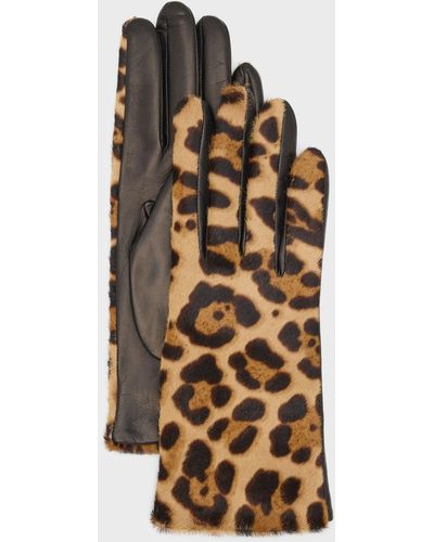 Portolano Jaguar Calf Hair & Leather Gloves - Metallic