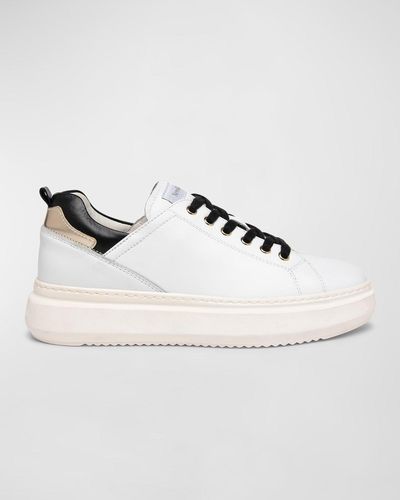nero giardini sneakers sale
