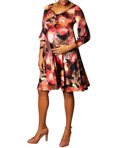 TIFFANY ROSE Maternity Pixie Watercolor Floral V-Neck Dress - Red