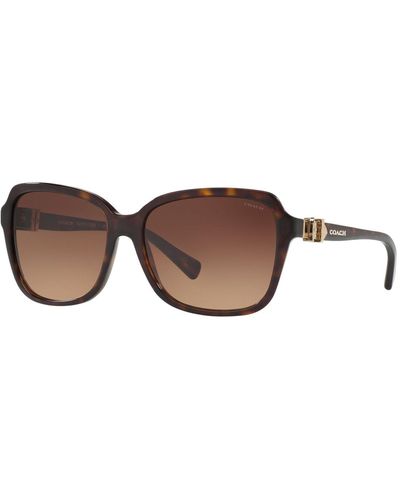 COACH Square Acetate Sunglasses W/ 3d Buckle Temples - Brown