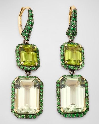 Goshwara Rain Forest And Presiolite Emerald Cut Earrings With Tsavorite - Green