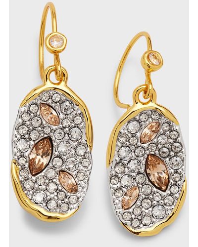 Alexis Solanales Crystal Oval Drop Earrings - Metallic