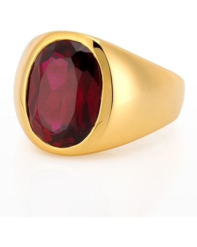 Sarah Chloe Winnie 14K Large Pinky Signet Garnet Ring - Metallic
