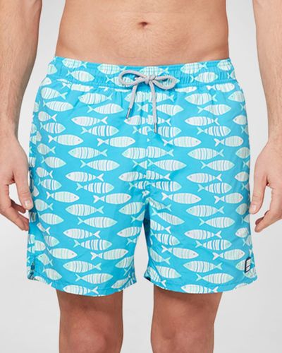 Tom & Teddy Fish-Print Swim Shorts - Blue