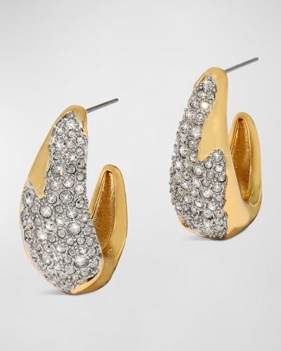 Alexis Solanales Crystal Hoop Earrings - Metallic