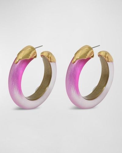 Alexis Luminous Lucite Dipped Hoop Earrings - Pink