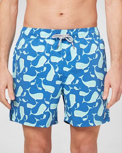 Tom & Teddy Whale-Print Swim Shorts - Blue