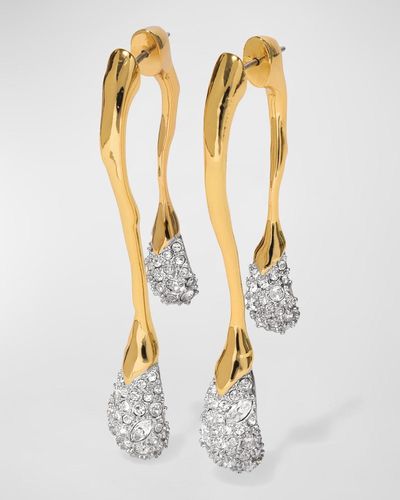 Alexis Solanales Front-back Double Drop Crystal Earrings - Metallic