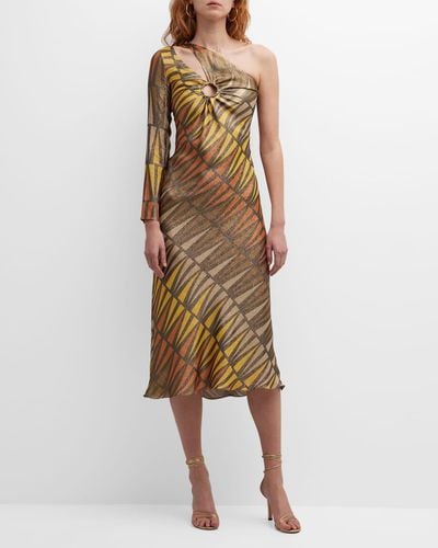 Adriana Iglesias Lundy Slash Cutout One-shoulder Silk Midi Dress - Multicolor