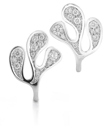 Miseno Foglia Di Mare 18k White Gold Diamond Earrings
