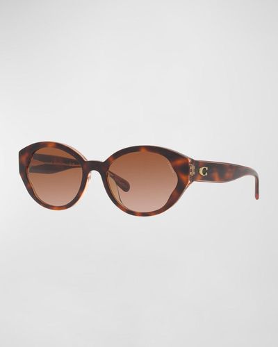 COACH Wavy Acetate Oval Sunglasses - Brown