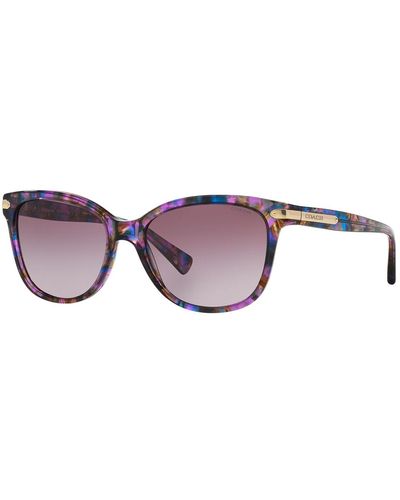 COACH Cat-eye Sunglasses W/ Logo Plate Temples - Purple