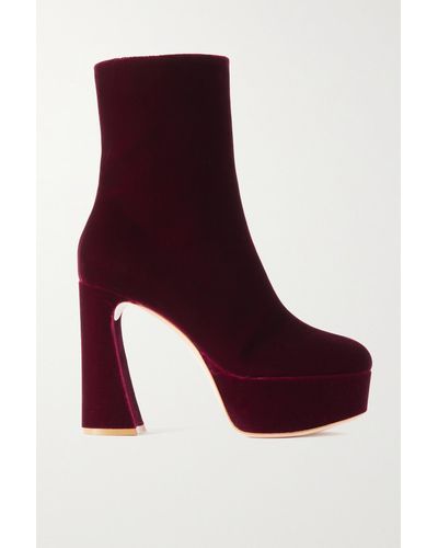 Gianvito Rossi Holly 120 Ankle Boots Aus Samt Mit Plateau - Lila